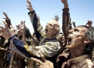 Revelan qué país podría sobrevivir a un apocalipsis zombi