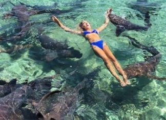 Tiburón ataca a modelo mientras hacía sesión de fotos