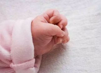 Hallan bebé apuñalada y horneada; abuela es arrestada