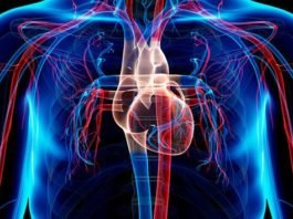 Médicos explican por qué el cáncer de corazón es tan raro