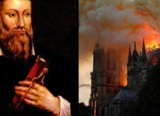 Notre Dame: Profecía cumplida de Nostradamus