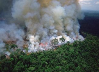 #PrayForAmazonas: Exigen a gobierno atender incendios en redes sociales