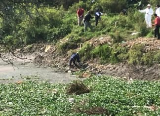 Localizan cuerpo sin vida en río laja a la altura de Cortazar