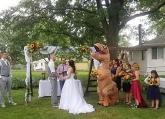 Se viste de dinosaurio en boda de su hermana