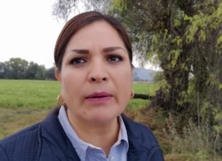 Inversionistas eligen Celaya para construir «Arena Bajío»