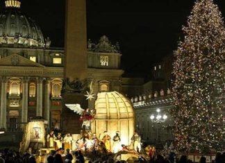 Vaticano enciende su árbol y pesebre de Navidad en plaza de San Pedro