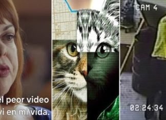 El perturbador documental de Netflix: ‘Don’t f**k with cats’