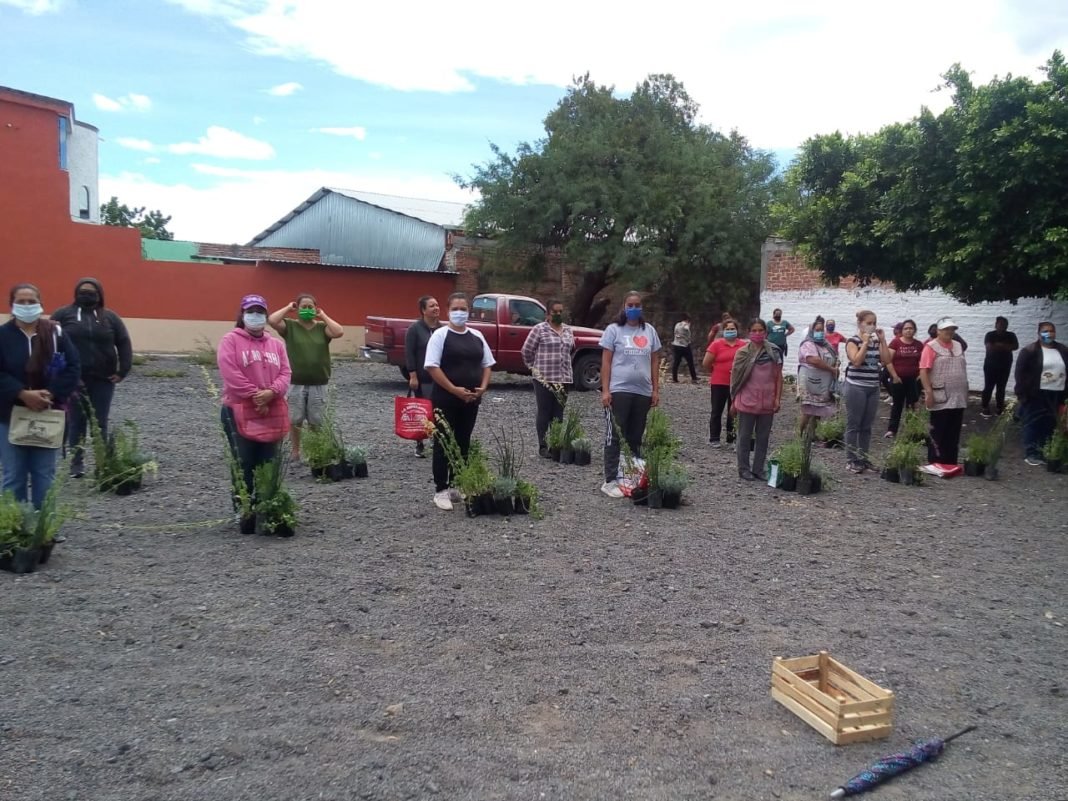 a9626474-f7ea-474b-b84b-fa463f7651ff