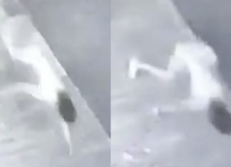 Captan a ‘niña perro’ en Tampico y reviven perturbadora leyenda