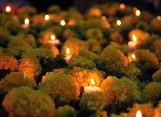 Flor de cempasúchil: la leyenda de amor más allá de la muerte