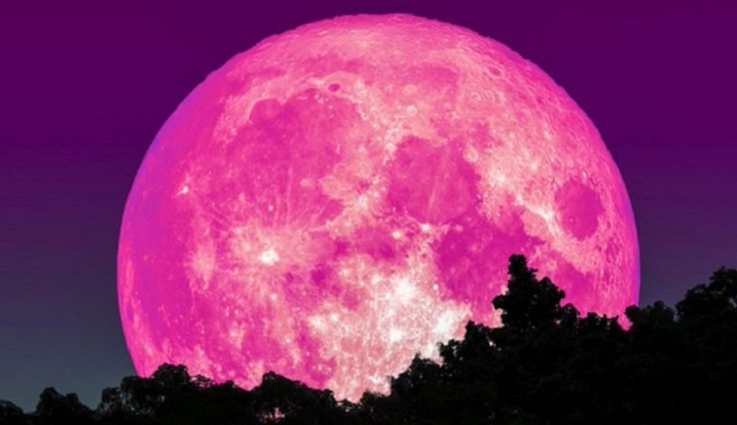 Este mes de abril habrá luna rosa en el cielo CSC Noticias