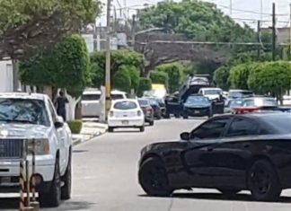 Realiza AIC cateo en Colonia Arboledas