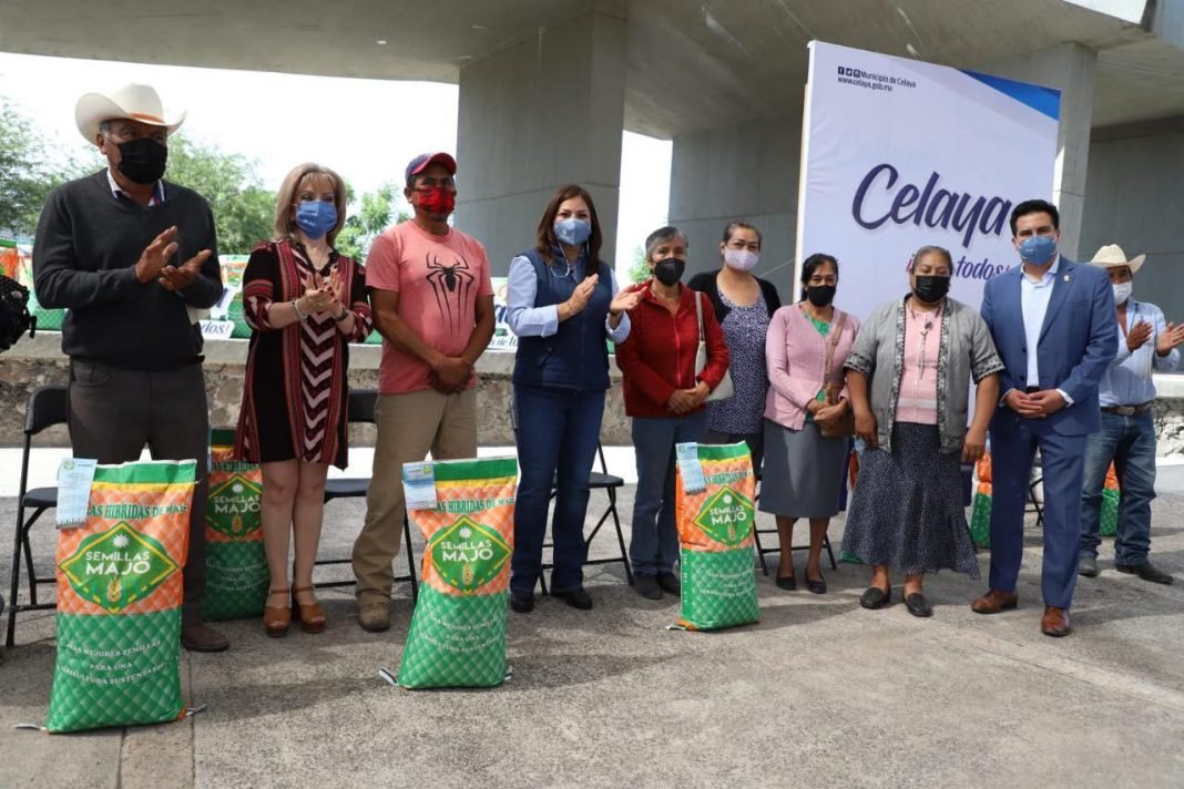 194216430_4203975269660125_3307675930560088287_n