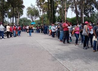 Se rompe récord de aplicación de vacunas antiCovid en Celaya con 29 mil dosis en un día