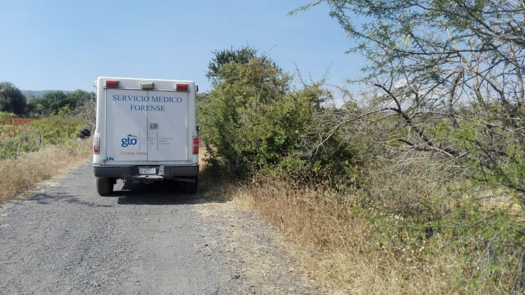 IMG_20201122_122501_551