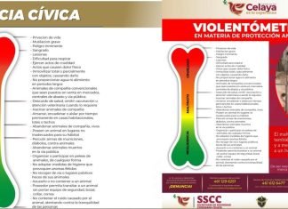 Con “violentómetro” calificarán violencia animal