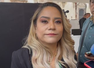 «El Partido Verde respalda mi postura contra el Aborto»: Luz Itzel Mendo