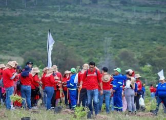 Plantan en León más de 3 mil árboles en la Sierra de Lobos