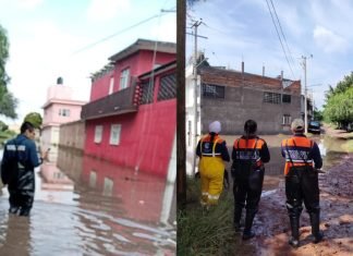 Acciones de la Dirección de Protección Civil y Bomberos en la colonia Cuauhtémoc