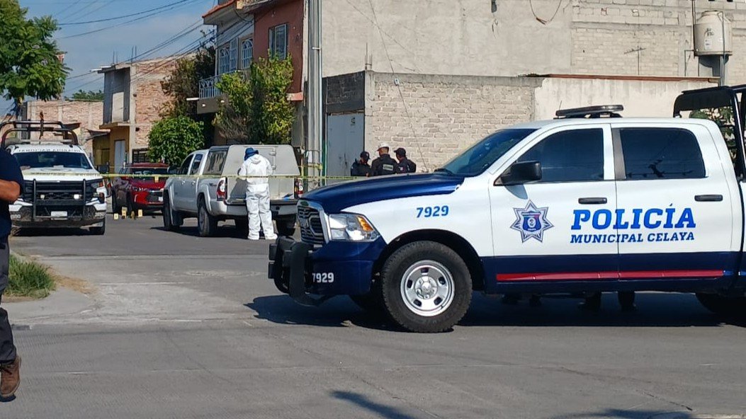 IMG-20250918-WA0003-2