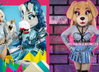 “La Perrita Perrona”: Momo Guzmán estaría preparando nueva ‘mascotidrag’ tras separarse de Turbulence