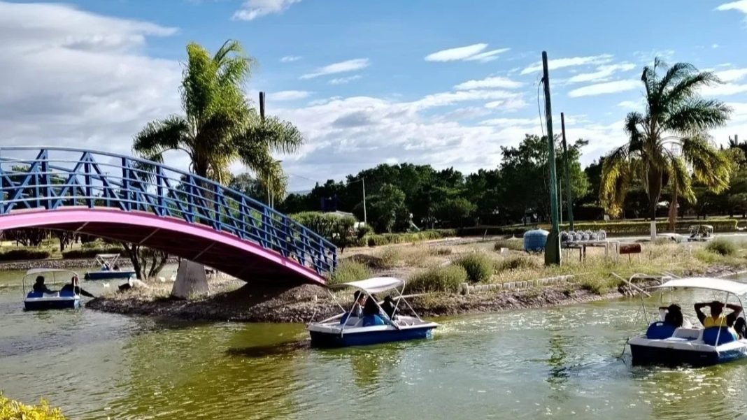 Imagen de WhatsApp 2025-12-08 a las 15.46.54_9de91d55