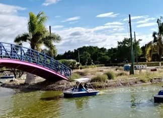 Tendrá Xochipilli cafetería en lago en enero