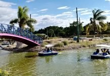 Celaya entre las 5 ciudades del estado con más turismo… buscará le dupliquen presupuesto