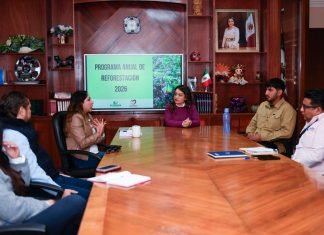 Presentan proyecto ambiental para fortalecer áreas verdes en Villagrán