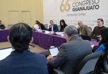 Revisan propuestas en materia de interés superior de la niñez y sanciones penales por el desmonte y la tala de árboles