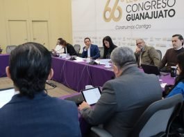 Revisan propuestas en materia de interés superior de la niñez y sanciones penales por el desmonte y la tala de árboles