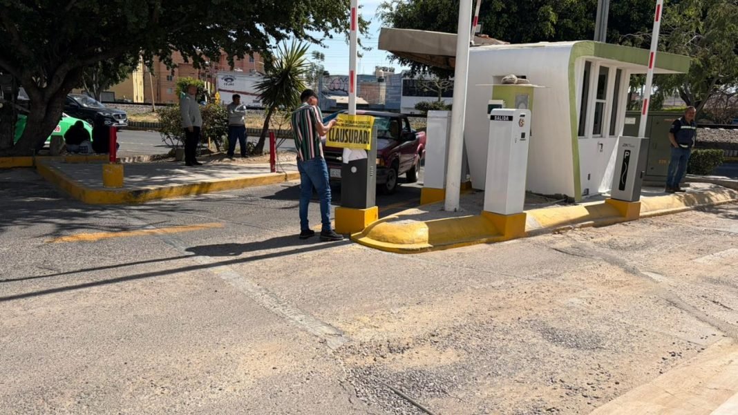 WhatsApp Image 2026-01-29 at 19.16.58