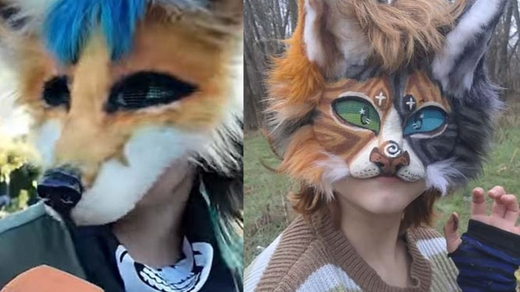 11d38b64-6836-43f4-bcd6-fd4f388b2728_source-aspect-ratio_1600w_0