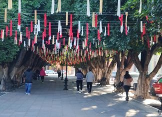 Impulsan en Salvatierra programa “Estilo de vida saludable” con actividades físicas gratuitas en el jardín principal