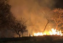 Confirman con video que incendios en pastizales son provocados
