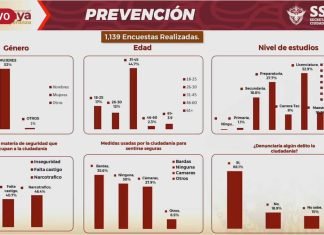 Más de la mitad de los celayenses no perciben mejoras en seguridad según encuesta