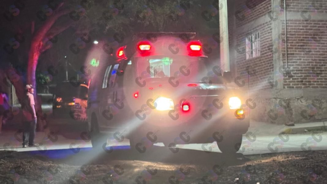 PHOTO-2026-04-14-10-04-50