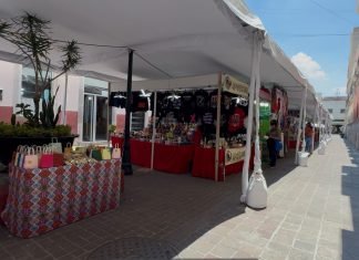 INSMUJERES y Cultura tramitan permisos para tianguis en el Jardín