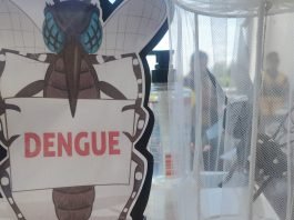 Guanajuato registra una reducción del 60 por ciento en casos de dengue en relación con el año pasado