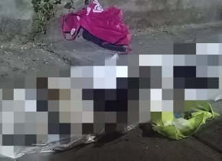 Denuncia Policía ante Fiscalía envenenamiento de canes