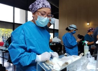 Esterilizan a 287 perros y gatos, municipio de Celaya y Secretaría de Salud