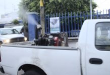 SSG registra disminución del 81 % en casos de dengue en relación con el año pasado.