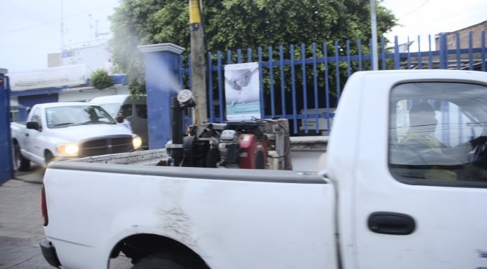 SSG registra disminución del 81 % en casos de dengue en relación con el año pasado.
