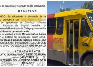 Ómnibus pierde amparo, camiones viejos no pueden circular