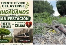 Con manifestación reprocharán tala de árboles y división de la ciudad por tren de pasajeros
