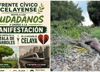 Con manifestación reprocharán tala de árboles y división de la ciudad por tren de pasajeros