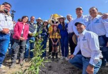Guanajuato se suma a la Jornada Nacional de Reforestación
