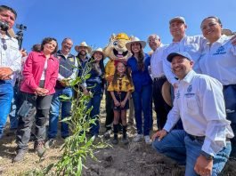 Guanajuato se suma a la Jornada Nacional de Reforestación