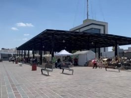 Aprueban que Feria del Alfeñique ocupe estacionamiento subterráneo pese a queja del Issste