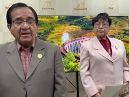 Comprueba estudios Directora de Personal